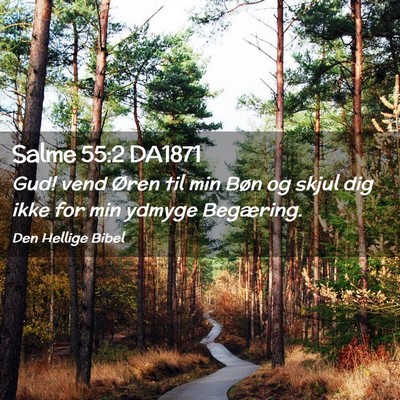 Picture 02 - Salme 55:2 DA1871 - Gud! vend Øren til min Bøn og skjul dig ikke - Bible Verse Picture
