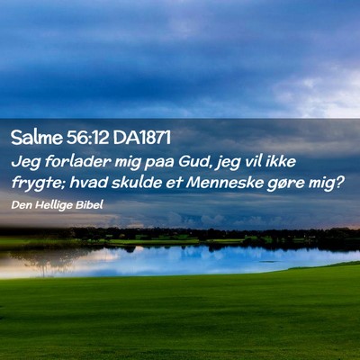 Picture 02 - Salme 56:12 DA1871 - Jeg forlader mig paa Gud, jeg vil ikke frygte; - Bible Verse Picture
