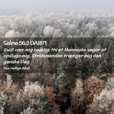 Picture 02 - Salme 56:2 DA1871 - Gud! vær mig naadig; thi et Menneske søger at - Bible Verse Picture