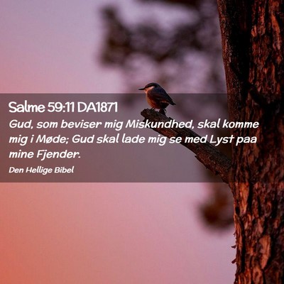 Picture 02 - Salme 59:11 DA1871 - Gud, som beviser mig Miskundhed, skal komme mig i - Bible Verse Picture