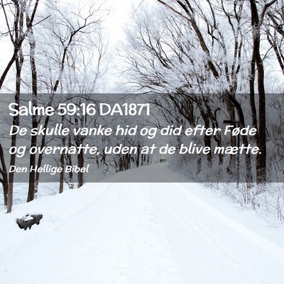 Picture 02 - Salme 59:16 DA1871 - De skulle vanke hid og did efter Føde og - Bible Verse Picture
