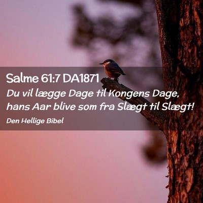 Picture 02 - Salme 61:7 DA1871 - Du vil lægge Dage til Kongens Dage, hans Aar - Bible Verse Picture