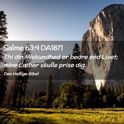 Picture 02 - Salme 63:4 DA1871 - Thi din Miskundhed er bedre end Livet; mine - Bible Verse Picture