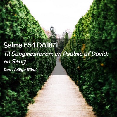 Picture 02 - Salme 65:1 DA1871 - Til Sangmesteren; en Psalme af David; en - Bible Verse Picture