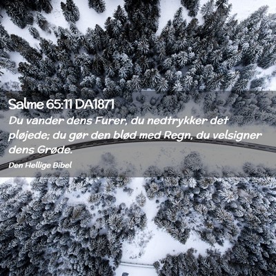 Picture 02 - Salme 65:11 DA1871 - Du vander dens Furer, du nedtrykker det pløjede; - Bible Verse Picture
