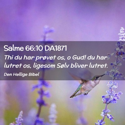 Picture 02 - Salme 66:10 DA1871 - Thi du har prøvet os, o Gud! du har lutret os, - Bible Verse Picture