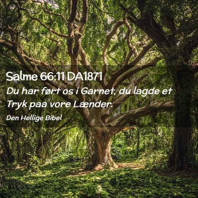Picture 02 - Salme 66:11 DA1871 - Du har ført os i Garnet, du lagde et Tryk paa - Bible Verse Picture
