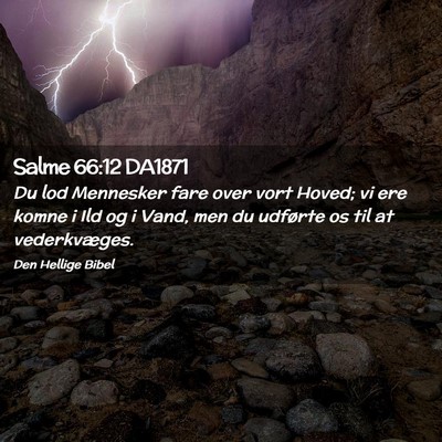 Picture 02 - Salme 66:12 DA1871 - Du lod Mennesker fare over vort Hoved; vi ere - Bible Verse Picture