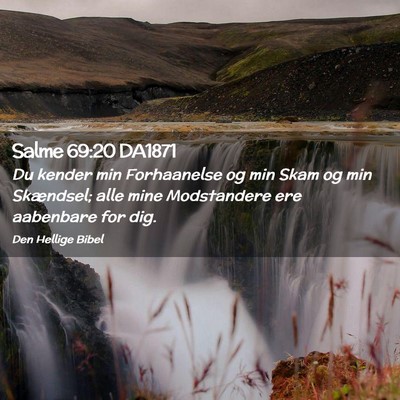 Picture 02 - Salme 69:20 DA1871 - Du kender min Forhaanelse og min Skam og min - Bible Verse Picture