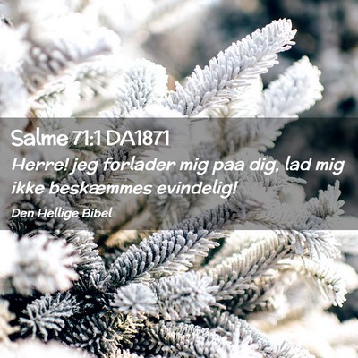 Picture 02 - Salme 71:1 DA1871 - Herre! jeg forlader mig paa dig, lad mig ikke - Bible Verse Picture
