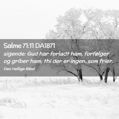 Picture 02 - Salme 71:11 DA1871 - sigende: Gud har forladt ham, forfølger og - Bible Verse Picture