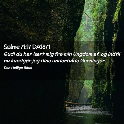 Picture 02 - Salme 71:17 DA1871 - Gud! du har lært mig fra min Ungdom af, og - Bible Verse Picture