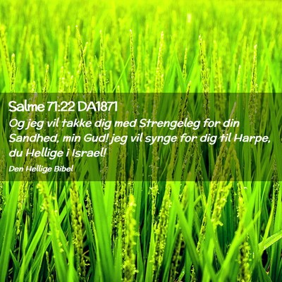 Picture 02 - Salme 71:22 DA1871 - Og jeg vil takke dig med Strengeleg for din - Bible Verse Picture