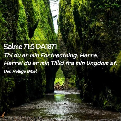 Picture 02 - Salme 71:5 DA1871 - Thi du er min Fortrøstning; Herre, Herre! du er - Bible Verse Picture