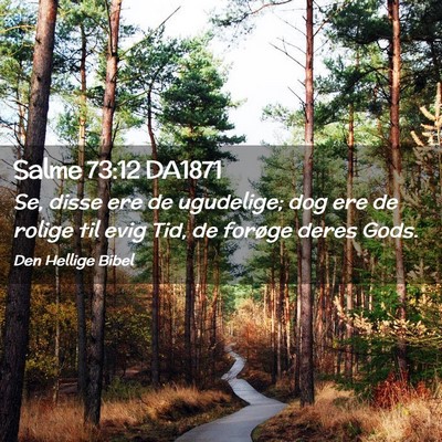 Picture 02 - Salme 73:12 DA1871 - Se, disse ere de ugudelige; dog ere de rolige til - Bible Verse Picture