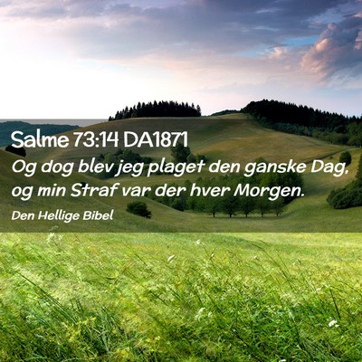 Picture 02 - Salme 73:14 DA1871 - Og dog blev jeg plaget den ganske Dag, og min - Bible Verse Picture