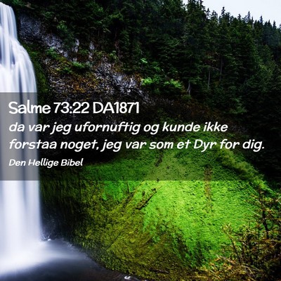 Picture 02 - Salme 73:22 DA1871 - da var jeg ufornuftig og kunde ikke forstaa - Bible Verse Picture