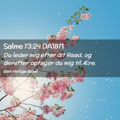 Picture 02 - Salme 73:24 DA1871 - Du leder mig efter dit Raad, og derefter optager - Bible Verse Picture