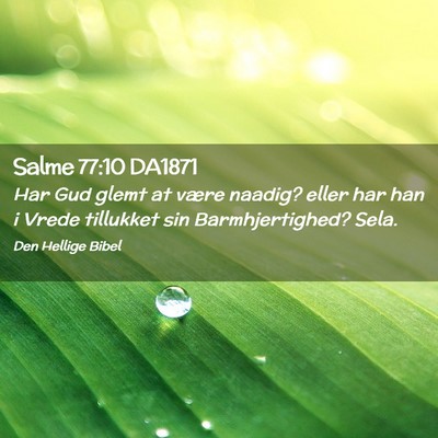 Picture 02 - Salme 77:10 DA1871 - Har Gud glemt at være naadig? eller har han i - Bible Verse Picture