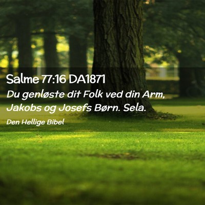 Picture 02 - Salme 77:16 DA1871 - Du genløste dit Folk ved din Arm, Jakobs og - Bible Verse Picture