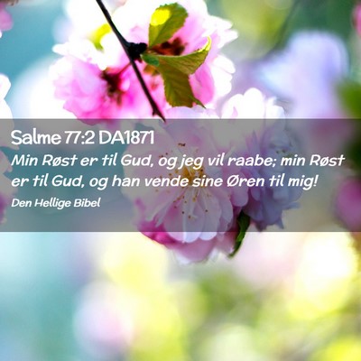 Picture 02 - Salme 77:2 DA1871 - Min Røst er til Gud, og jeg vil raabe; min Røst - Bible Verse Picture