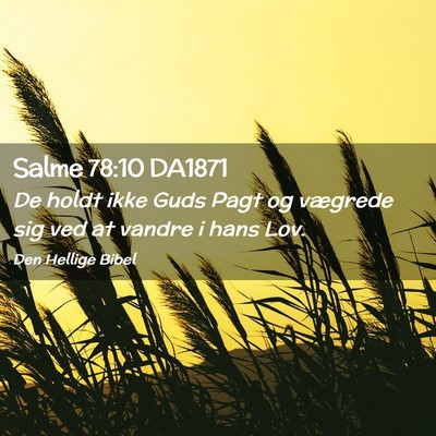 Picture 02 - Salme 78:10 DA1871 - De holdt ikke Guds Pagt og vægrede sig ved at - Bible Verse Picture