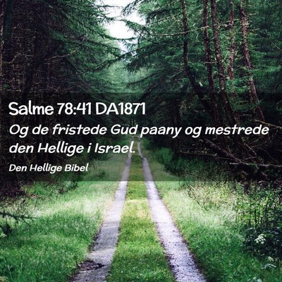 Picture 02 - Salme 78:41 DA1871 - Og de fristede Gud paany og mestrede den Hellige - Bible Verse Picture