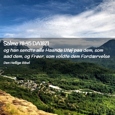 Picture 02 - Salme 78:45 DA1871 - og han sendte alle Haande Utøj paa dem, som aad - Bible Verse Picture