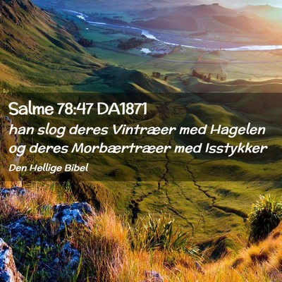 Picture 02 - Salme 78:47 DA1871 - han slog deres Vintræer med Hagelen og deres - Bible Verse Picture