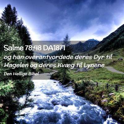Picture 02 - Salme 78:48 DA1871 - og han overantvordede deres Dyr til Hagelen og - Bible Verse Picture