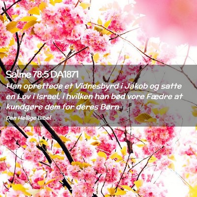 Picture 02 - Salme 78:5 DA1871 - Han oprettede et Vidnesbyrd i Jakob og satte en - Bible Verse Picture