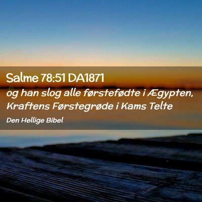 Picture 02 - Salme 78:51 DA1871 - og han slog alle førstefødte i Ægypten, - Bible Verse Picture