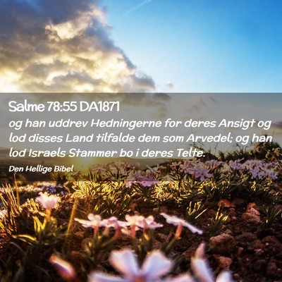 Picture 02 - Salme 78:55 DA1871 - og han uddrev Hedningerne for deres Ansigt og lod - Bible Verse Picture