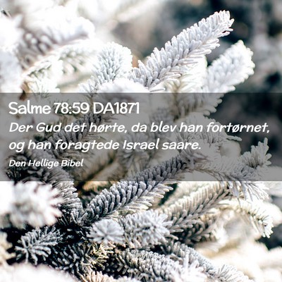 Picture 02 - Salme 78:59 DA1871 - Der Gud det hørte, da blev han fortørnet, og - Bible Verse Picture