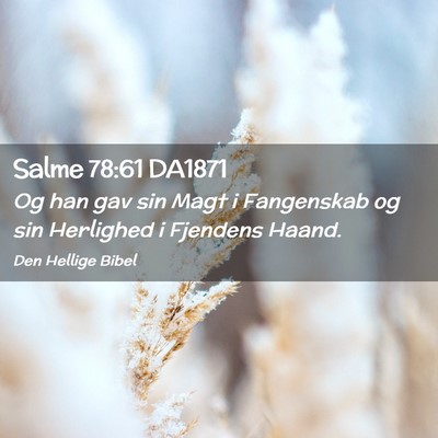 Picture 02 - Salme 78:61 DA1871 - Og han gav sin Magt i Fangenskab og sin Herlighed - Bible Verse Picture