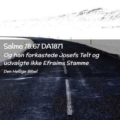 Picture 02 - Salme 78:67 DA1871 - Og han forkastede Josefs Telt og udvalgte ikke - Bible Verse Picture