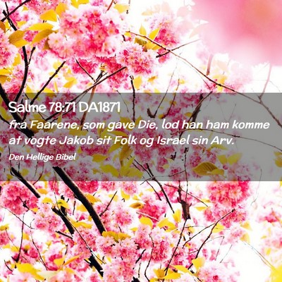 Picture 02 - Salme 78:71 DA1871 - fra Faarene, som gave Die, lod han ham komme at - Bible Verse Picture