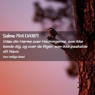 Picture 02 - Salme 79:6 DA1871 - Udøs din Harme over Hedningerne, som ikke kende - Bible Verse Picture
