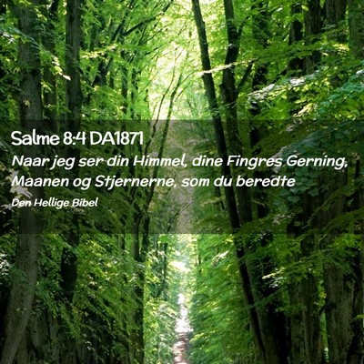 Picture 02 - Salme 8:4 DA1871 - Naar jeg ser din Himmel, dine Fingres Gerning, - Bible Verse Picture