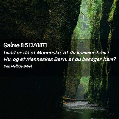 Picture 02 - Salme 8:5 DA1871 - hvad er da et Menneske, at du kommer ham i Hu, og - Bible Verse Picture