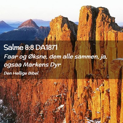 Picture 02 - Salme 8:8 DA1871 - Faar og Øksne, dem alle sammen, ja, ogsaa - Bible Verse Picture