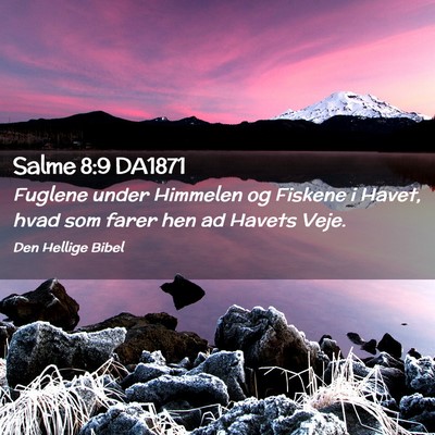 Picture 02 - Salme 8:9 DA1871 - Fuglene under Himmelen og Fiskene i Havet, hvad - Bible Verse Picture