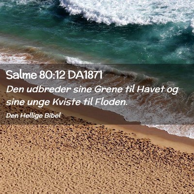 Picture 02 - Salme 80:12 DA1871 - Den udbreder sine Grene til Havet og sine unge - Bible Verse Picture