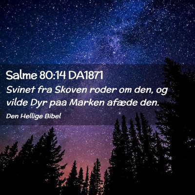 Picture 02 - Salme 80:14 DA1871 - Svinet fra Skoven roder om den, og vilde Dyr paa - Bible Verse Picture