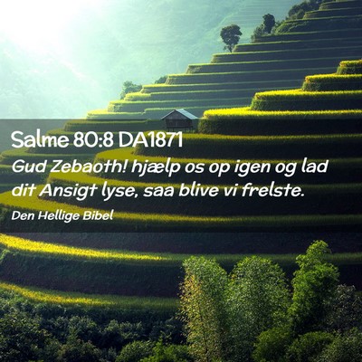 Picture 02 - Salme 80:8 DA1871 - Gud Zebaoth! hjælp os op igen og lad dit Ansigt - Bible Verse Picture