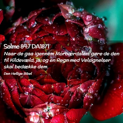 Picture 02 - Salme 84:7 DA1871 - Naar de gaa igennem Morbærdalen, gøre de den - Bible Verse Picture