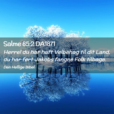 Picture 02 - Salme 85:2 DA1871 - Herre! du har haft Velbehag til dit Land, du har - Bible Verse Picture