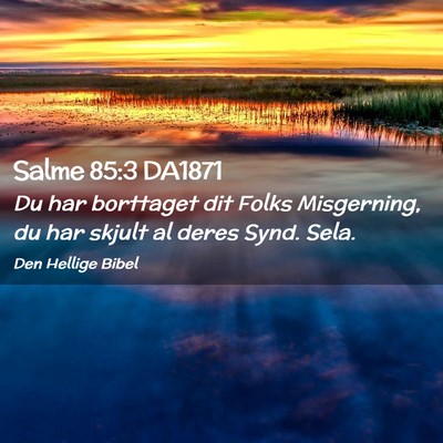 Picture 02 - Salme 85:3 DA1871 - Du har borttaget dit Folks Misgerning, du har - Bible Verse Picture