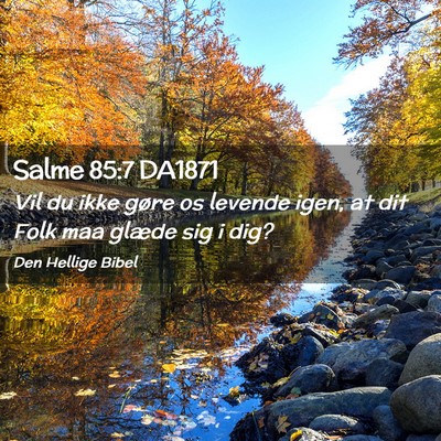 Picture 02 - Salme 85:7 DA1871 - Vil du ikke gøre os levende igen, at dit Folk - Bible Verse Picture