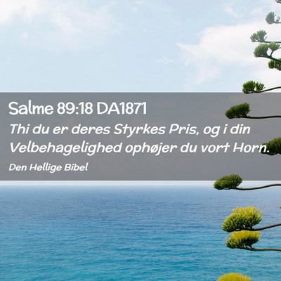 Picture 02 - Salme 89:18 DA1871 - Thi du er deres Styrkes Pris, og i din - Bible Verse Picture